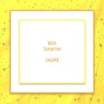 Boxe Surprise "Jaune"