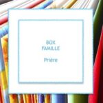 Boxe Surprise "Famille"
